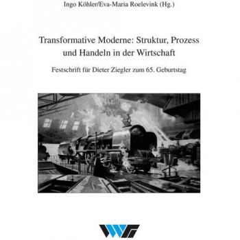 Transformative Moderne: Struktur Prozess und Handeln in der Wirtschaft