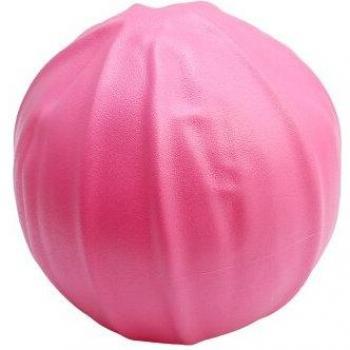 25cm Fitness Ball