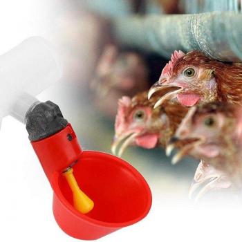 10 Pieces Chicken Drinking Cups