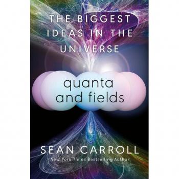 Quanta and Fields