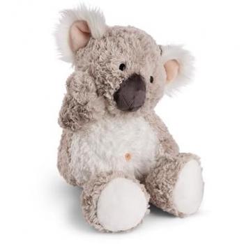 NICI Cuddly Koala Karbor
