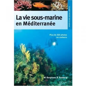 La vie sous-marine en méditerranée