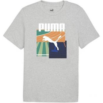 Puma Herren Sommer-T-Shirt mit Grafik – Grau, S