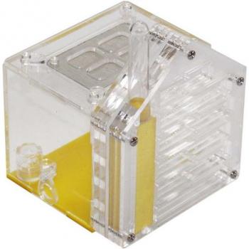 Boîte Élevage Fourmi