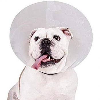 Collar Isabelino KVP Check 22-27 cm