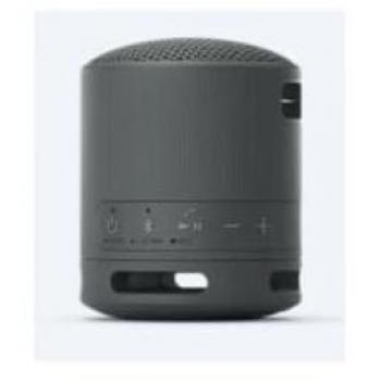 Bluetooth 5.0 Rugged Portable Speaker