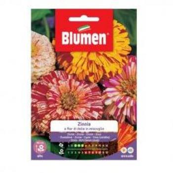 SEMI ZINNIA A FIOR DI DALIA IN MISCUGLIO BLUMEN