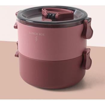 Bento Box for Work and School