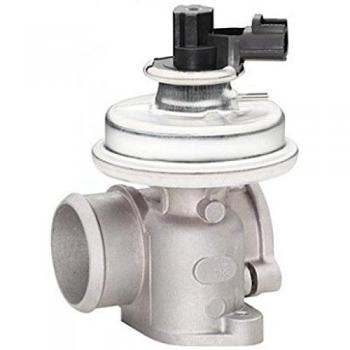 Electric-pneumatic EGR Valve 6NU 010 171-251