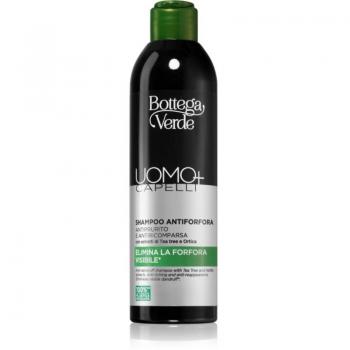 Bottega Verde Man+ Itchy Scalp Shampoo 250 ml
