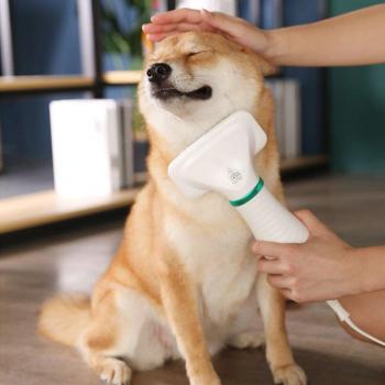 Soplador de pelo para perros 2 en 1