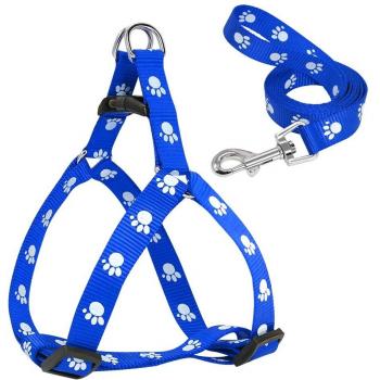 Small Pet Walking Harness Vest