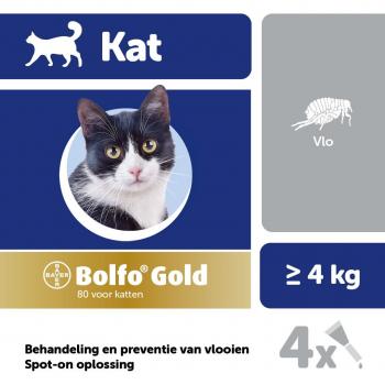 Bolfo Gold Kat 80 4 pipetten