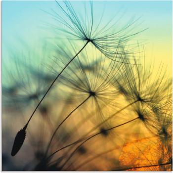 Artland Wandbild »Pusteblumen im goldenen Licht«, Blumen, (1 St.), als Alubild, Outdoorbild, Leinwandbild, Poster, Wandaufkleber