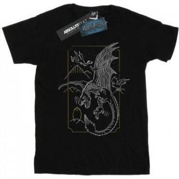 Maglia a Maniche Lunghe Harry Potter – Stile Drago Bianco per Ragazze