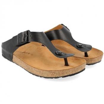 Mules Haflinger