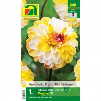 Bulbo di Dalia Double Jill di Austrosaat