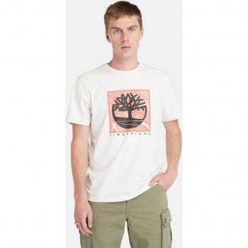 Camicia Timberland Logo Albero Manica Short