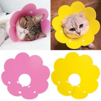 Lightweight Sunflower Cat Elizabeth Collar