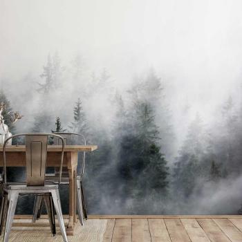 Papier Peint Bois Enveloppé de Brume