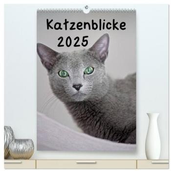 Katzenblicke 2025 (hochwertiger Premium Wandkalender 2025 DIN A2 hoch) Kunstdruck in Hochglanz