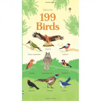 Usborne 199 Birds