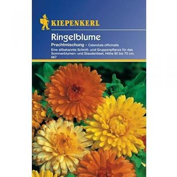Calendula Prachtmischung Saatgut