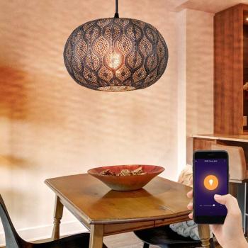 Sprachgesteuerte Deckenlampe mit RGB-LED