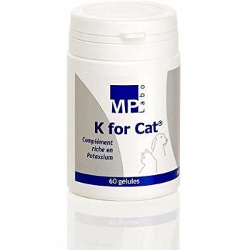 K POUR CHAT 60 Gélules