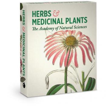 Herbs and Medicinal Plants Knowledge Cards