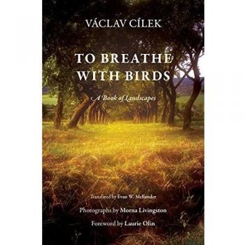 To Breathe with Birds: A Book of Landscapes