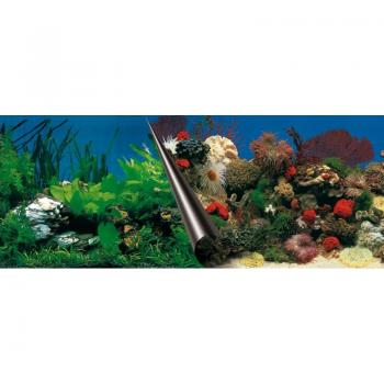 Acuario Marino Ebi Fondo Reversible