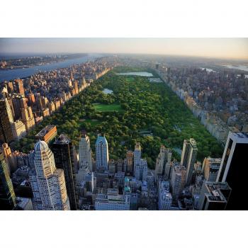 Trompe l'œil New York Intissé 368x254 cm