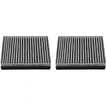 Pollen Filter Set 36493