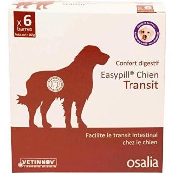 Easypill Chien Transit