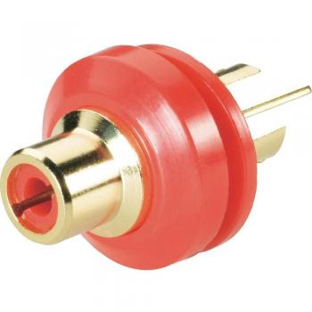 BKL CBGI RT Conector RCA Femenino de Montaje