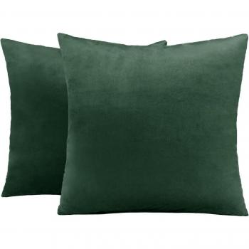 Pair of Matte Velvet Cushion Covers