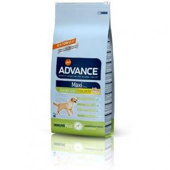 Advance Junior Maxi Pienso para Perro