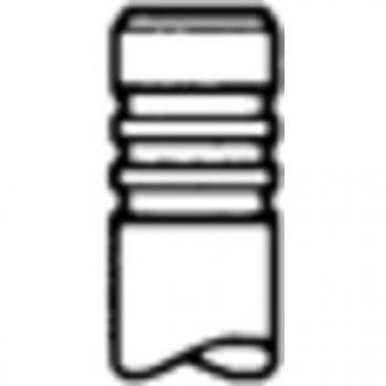 Outlet Valve TRW – Engine Part 331159