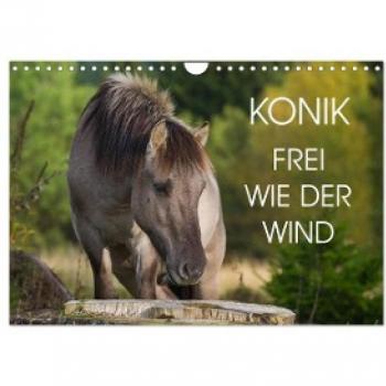 Konik