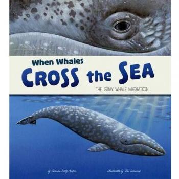 When Whales Cross The Sea The Grey Whale