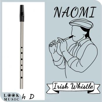D Key Irish Tin Whistle