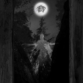 Amidst The Trees