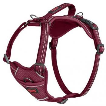 Harnais pour Chien Halti Anatomy