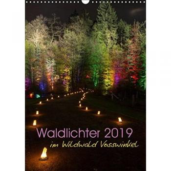 Waldlichter im Wildwald Vosswinkel 2019