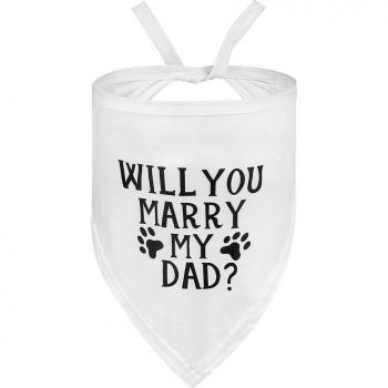 Bandana tendance en coton pour animaux