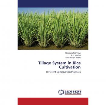 Tillage System in Rice Cultivation: Different Conservation Practices