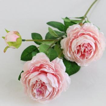 66cm Long Silk Peony and Foreign Rose Artificial Flower