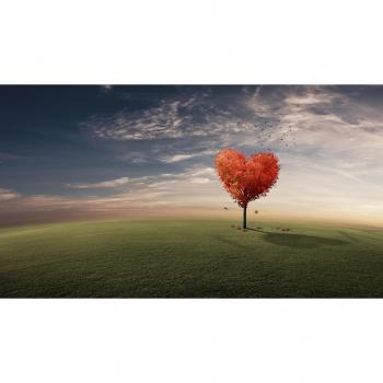 Papermoon Surreal‑Sonne: Baum, Herz und Wiese