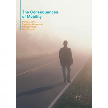 The Consequences of Mobility: Reflexivity, Social Inequality and the Reproduction of Precariousness in Highly Qualified Migration